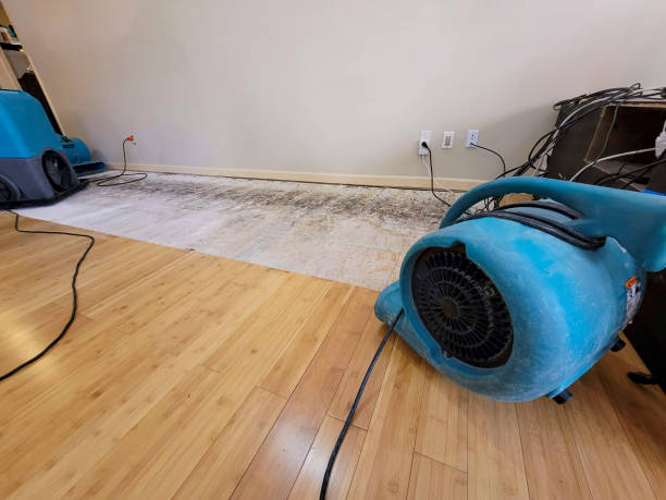 Professional Sewage Cleanup technician working in Middle Point, OH